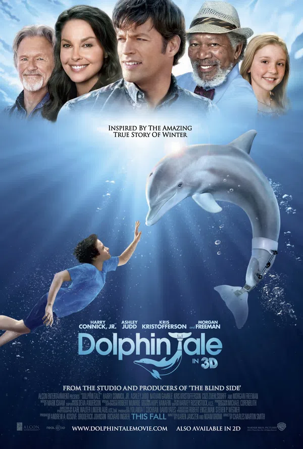 Poster phim Câu Chuyện Cá Heo trên SubNhanh