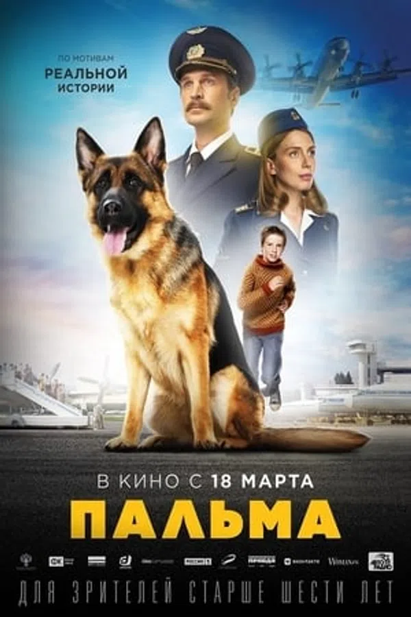 Poster phim Chú Chó Palma trên SubNhanh