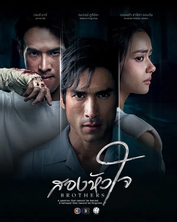 Poster phim Hai trái tim trên SubNhanh