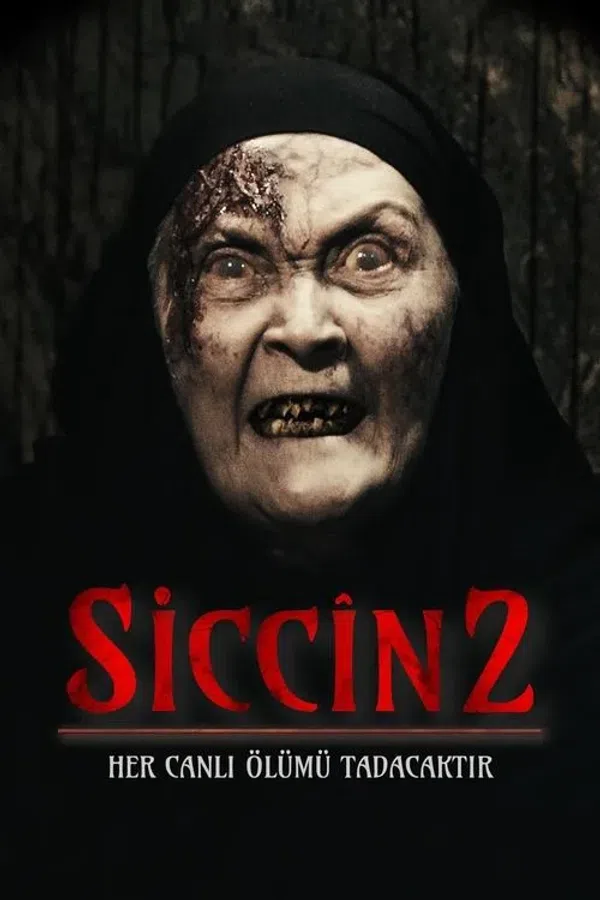 Poster phim Lời Nguyền Sijjin 2 trên SubNhanh
