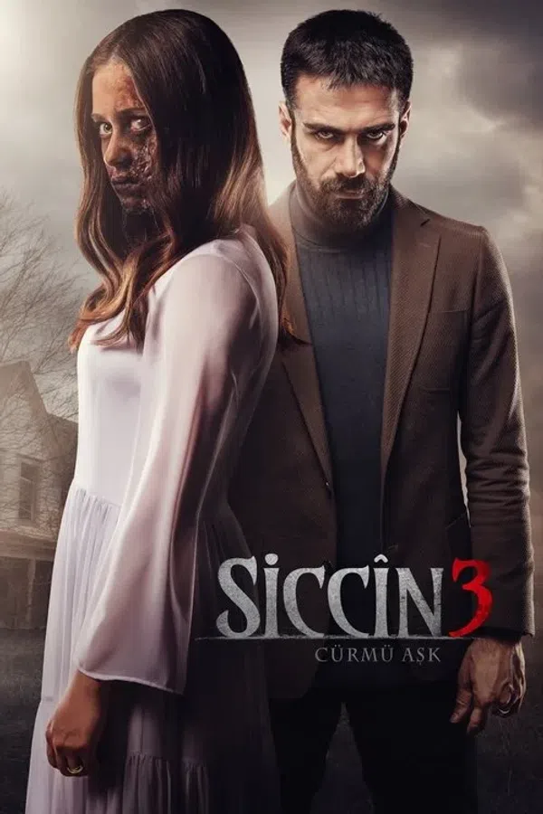 Poster phim Lời Nguyền Sijjin 3 trên SubNhanh