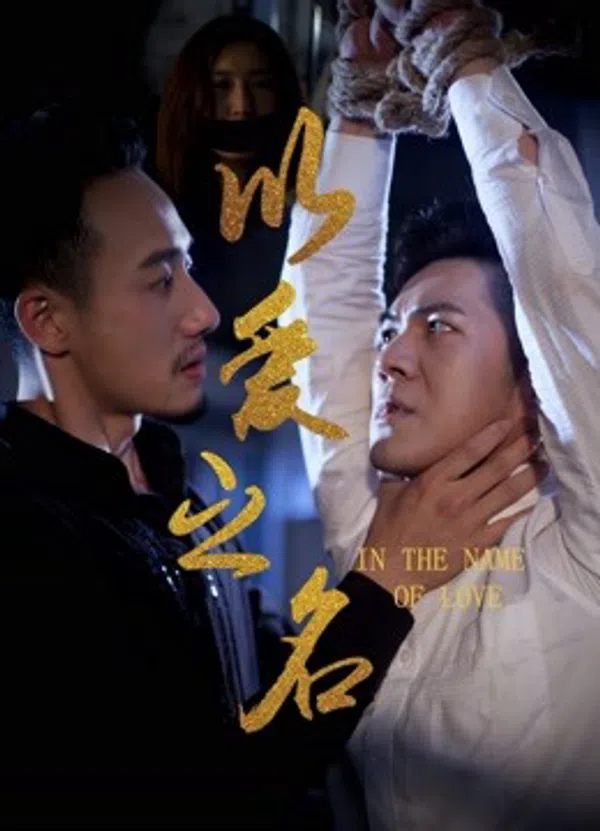 Poster phim Nhân Danh Tình Yêu trên SubNhanh