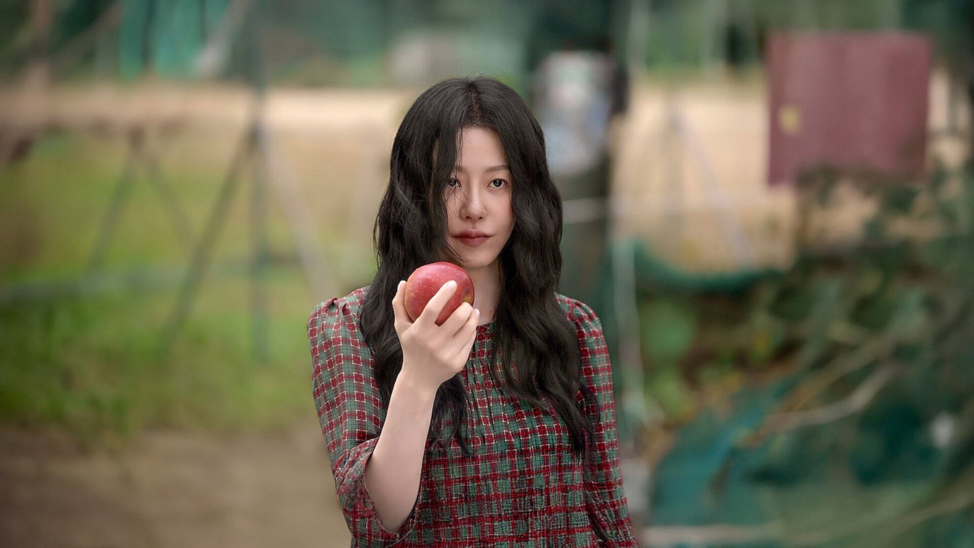 Bọ Ngựa - Queen Mantis