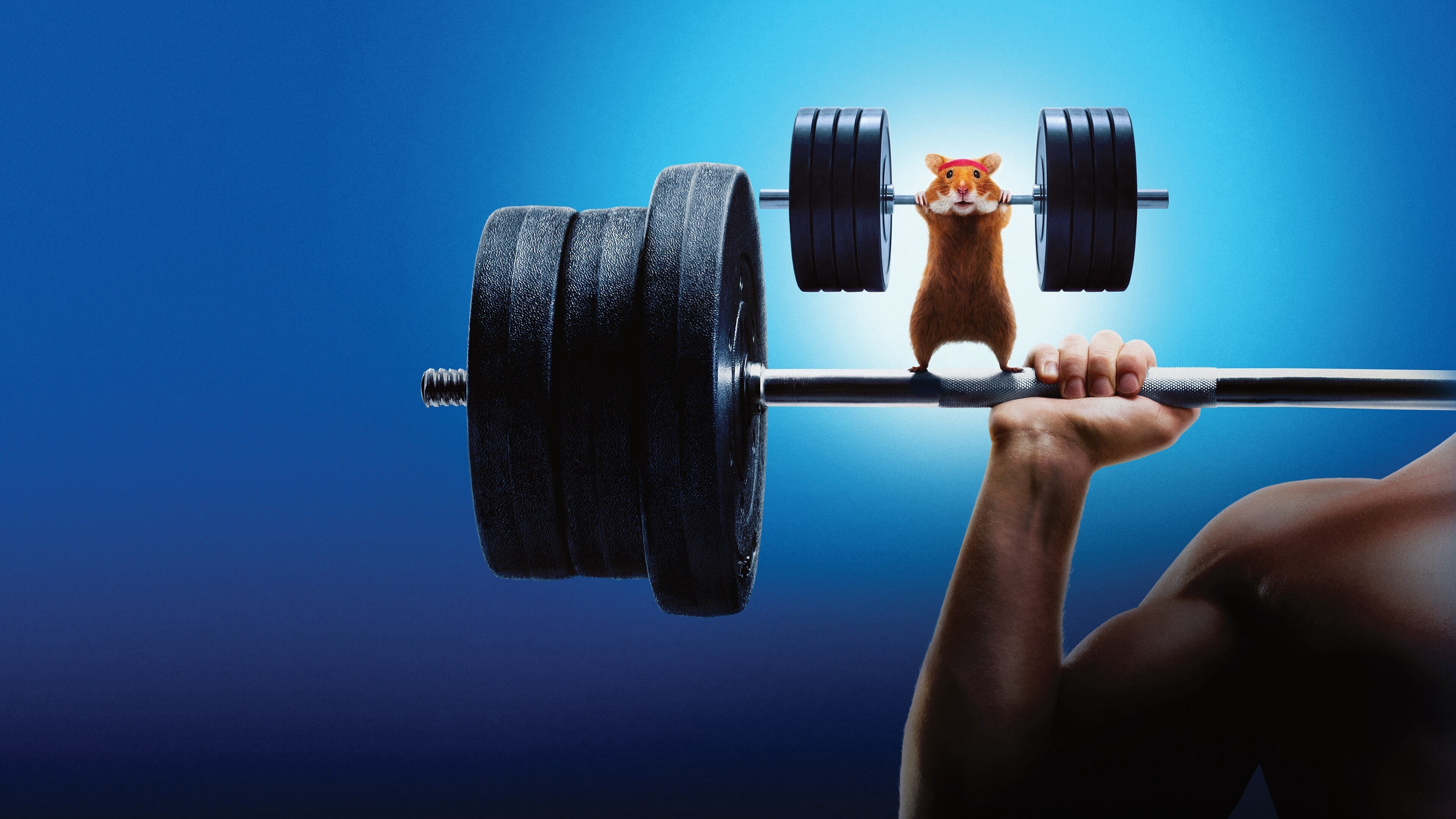 Con Người Đấu Với Hamster - Human vs Hamster