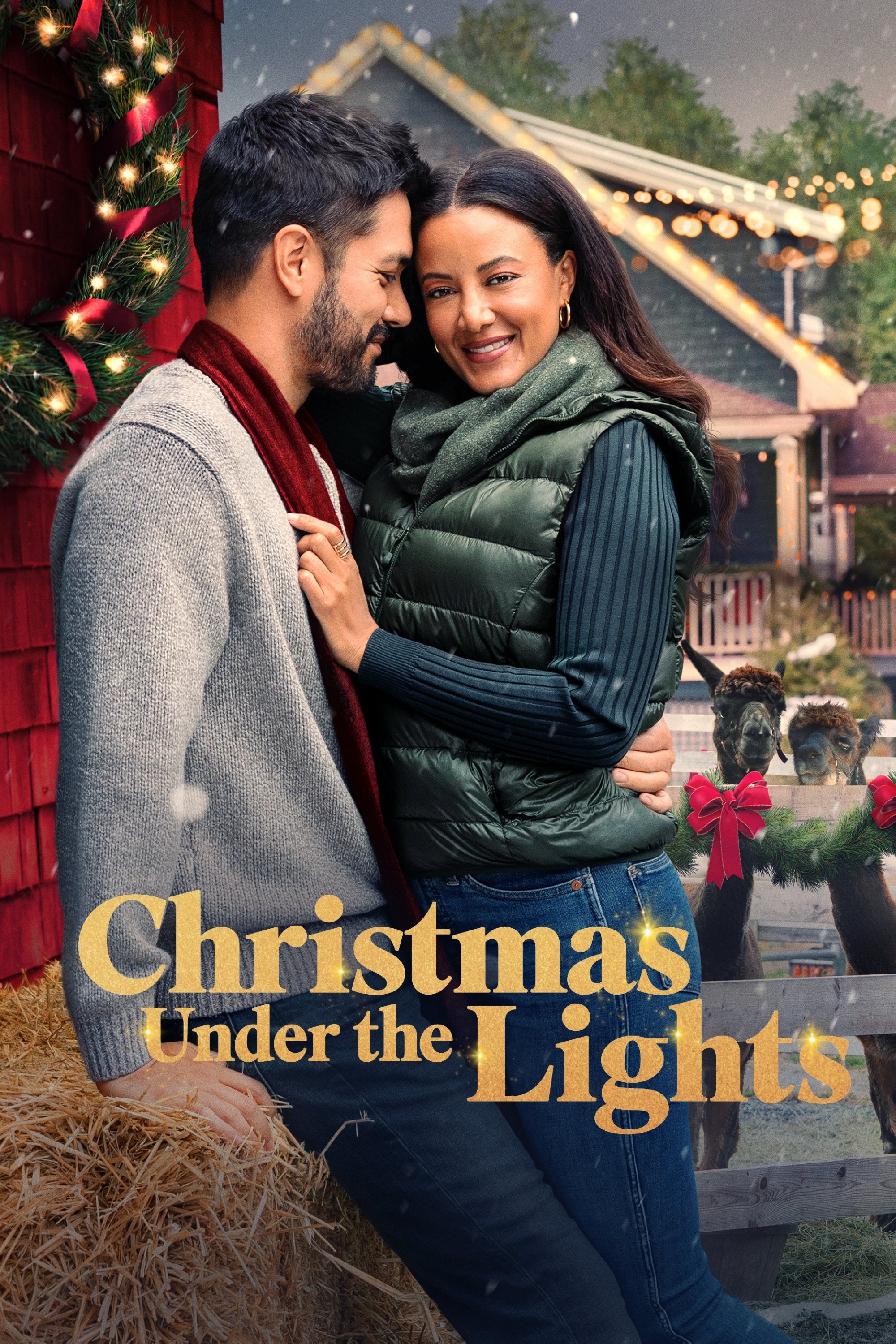 Giáng sinh dưới ánh đèn - Christmas Under the Lights (2024)