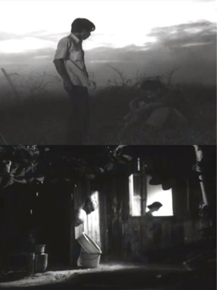 Khoảng Cách Còn Lại - The Last Distance Between Us (1981)