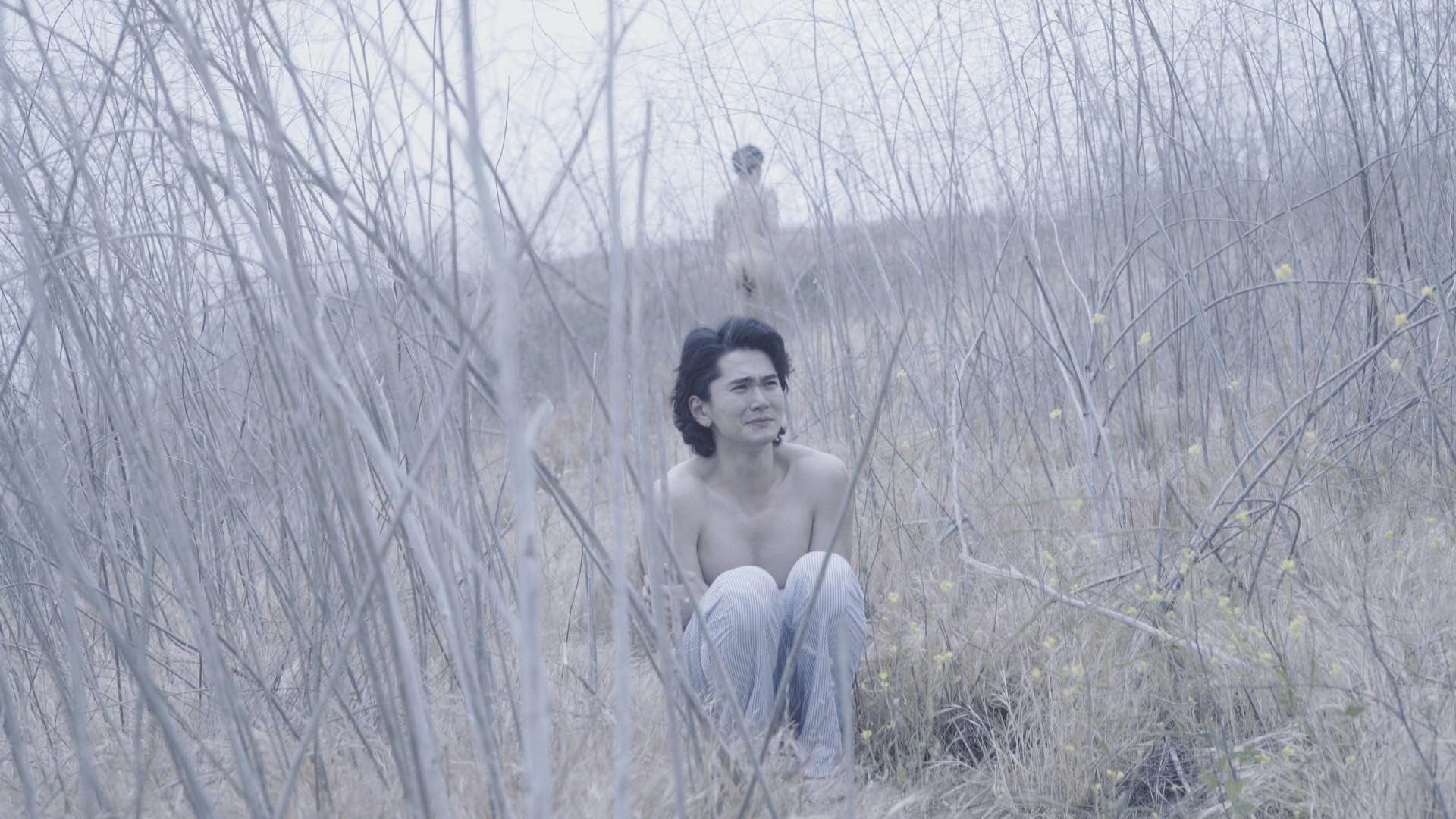 không lời - Wordless