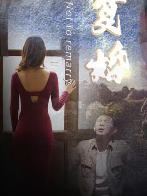 Luật Sư Hàng Đầu (Tên Gốc: Không Tái Hôn, Vợ Cũ Cút Đi) - 金牌律师 (2025)