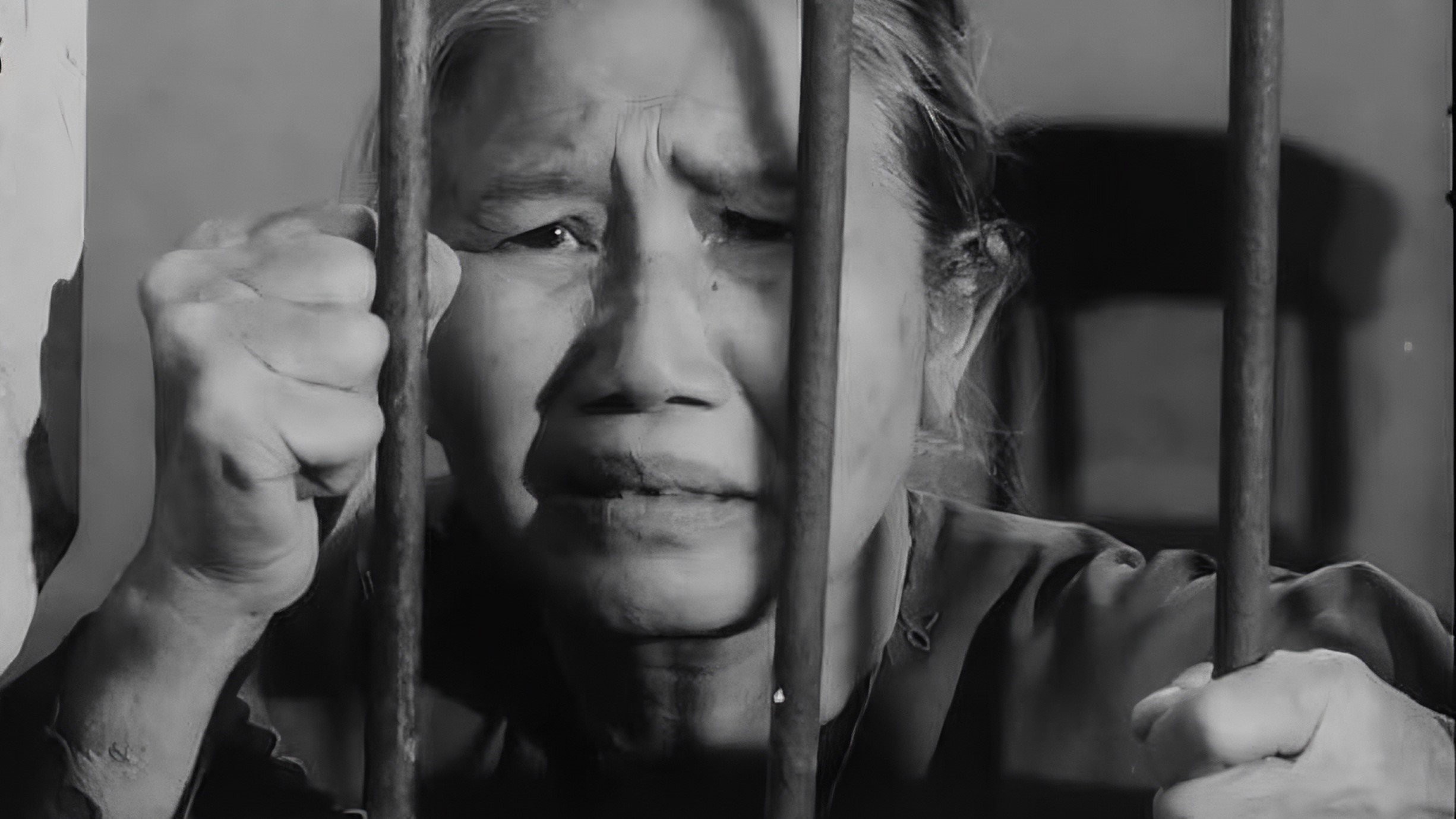 Tướng Về Hưu - The General Retires