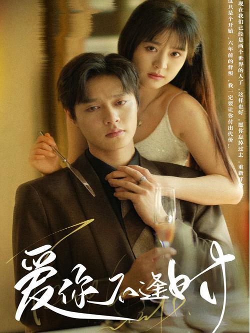 Yêu Em Sai Thời Điểm - 爱你不逢时 (2025)